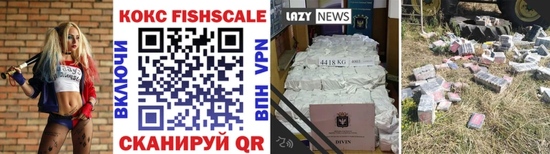 где купить наркоту  сайты даркнета состав  Cocaine Fish Scale  Ессентуки 