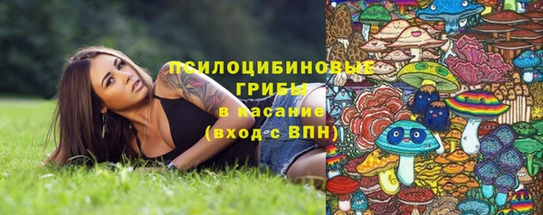 ECSTASY Верея